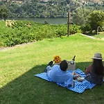 Douro Palace & 4*