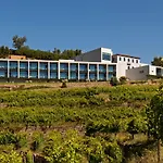 Douro Palace & 호텔