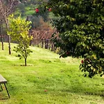 Douro Palace & 4*