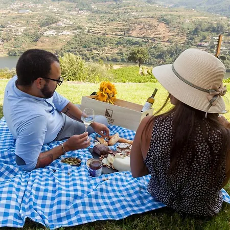 Hotel Douro Palace &