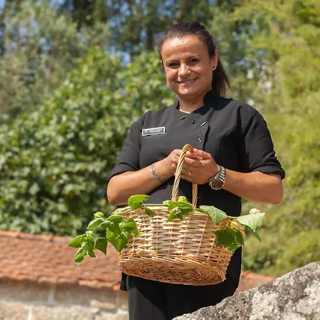 Hotel Douro Palace &