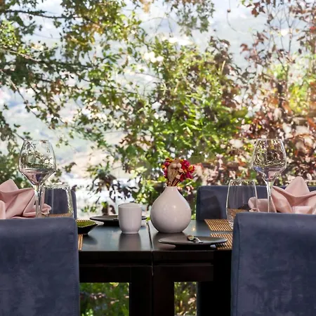 Douro Palace & 호텔