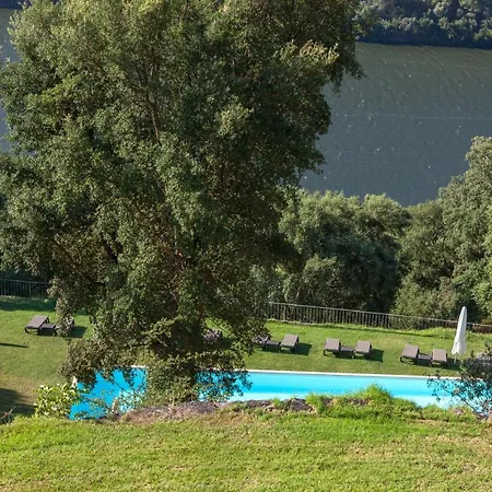 Hotel Douro Palace & Santa Cruz do Douro