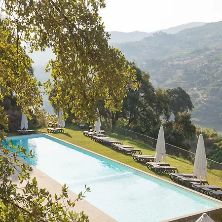 Douro Palace &
