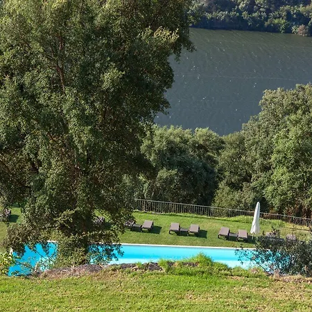 Douro Palace & Otel
