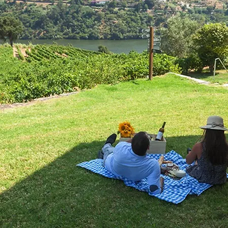 Douro Palace & 4*