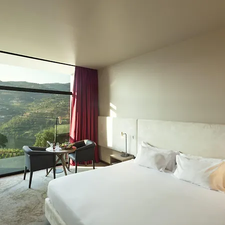 Douro Palace Resort&spa Hotel