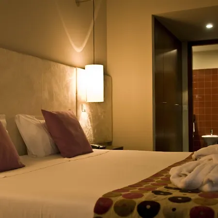Douro Palace & 4*