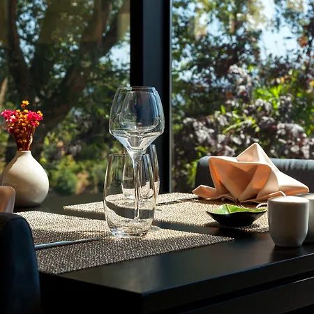 Douro Palace & Hotel