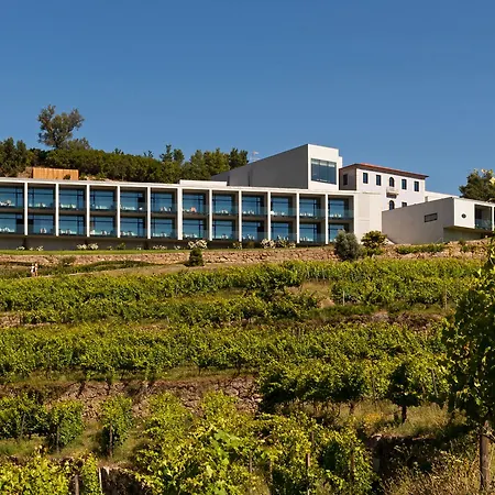 Douro Palace & Hotel