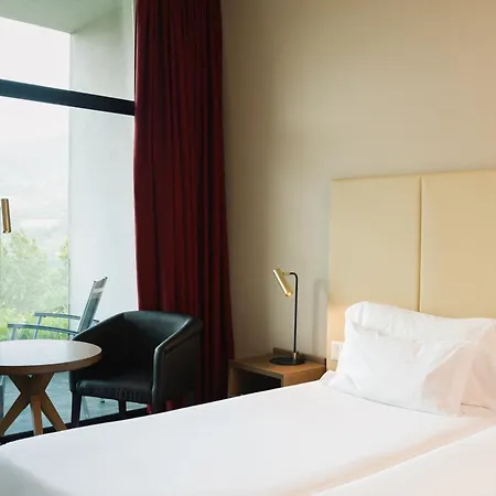 Hotel Douro Palace &