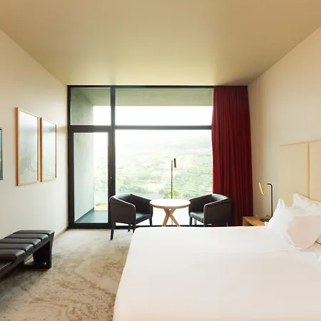 Douro Palace & 4*