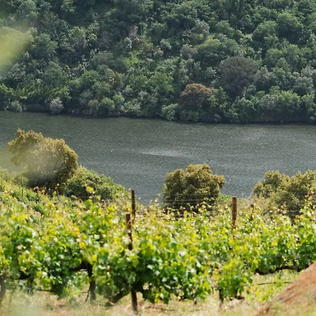 Douro Palace & Santa Cruz do Douro