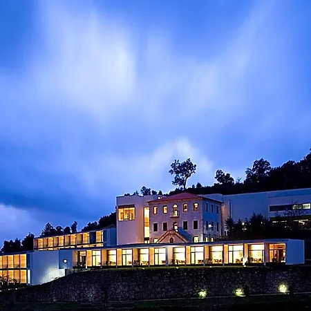 Douro Palace & Hotel Santa Cruz do Douro