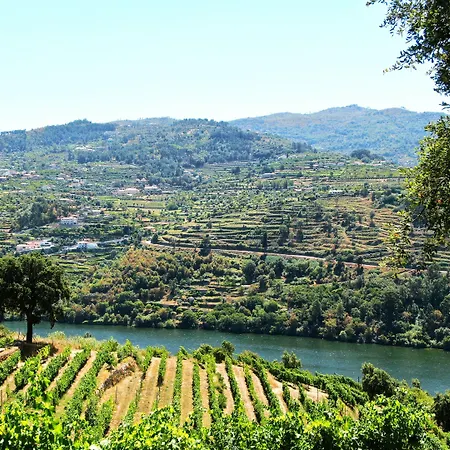 酒店 杜罗宫水疗度假村酒店 Santa Cruz do Douro