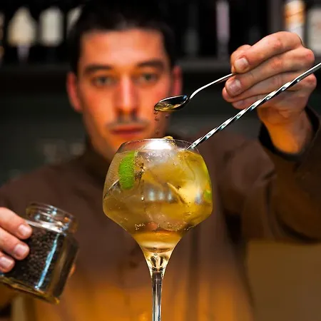 호텔 Douro Palace & 4*