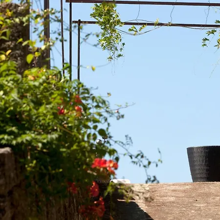 Douro Palace & Hotel