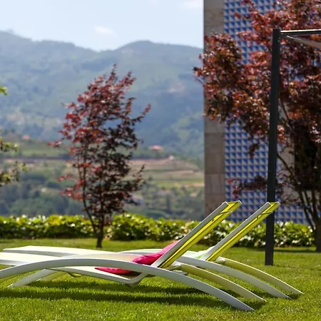 호텔 Douro Palace & 4*