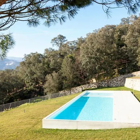 Hotel Douro Palace & 4*