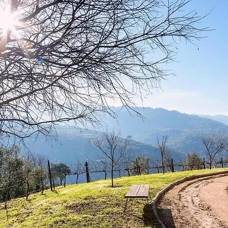 Douro Palace & Отель 4*