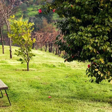 Douro Palace & 4*