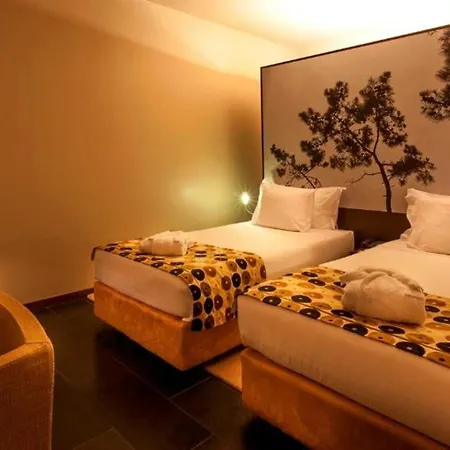 Douro Palace &
