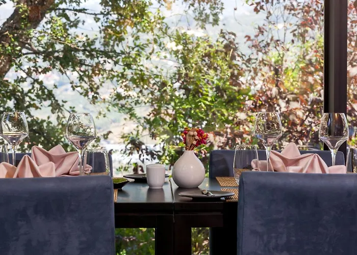 Douro Palace & Hotel