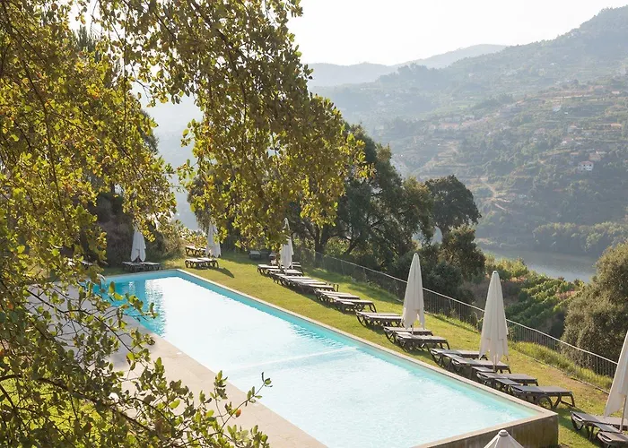 Douro Palace &