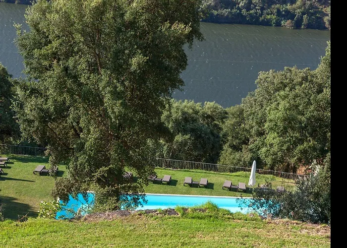 Douro Palace & Hotell