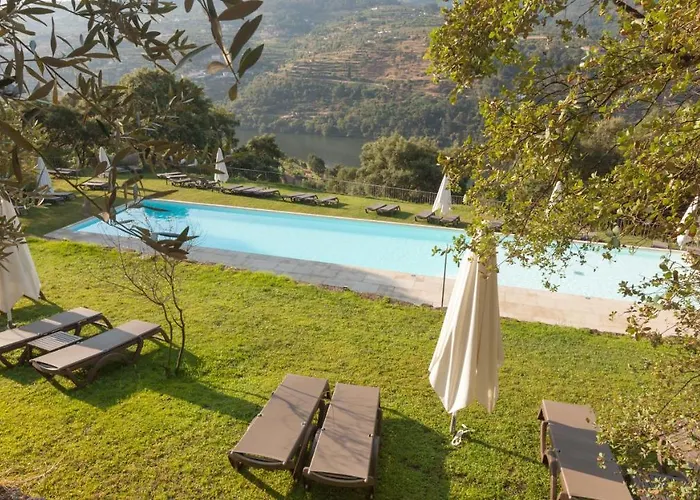 Douro Palace & Hotell 4*