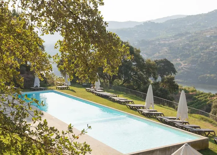Douro Palace &