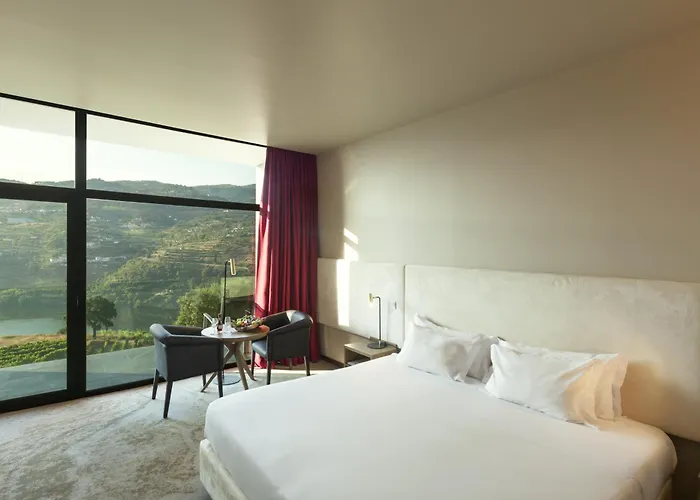 Douro Palace & Hotell