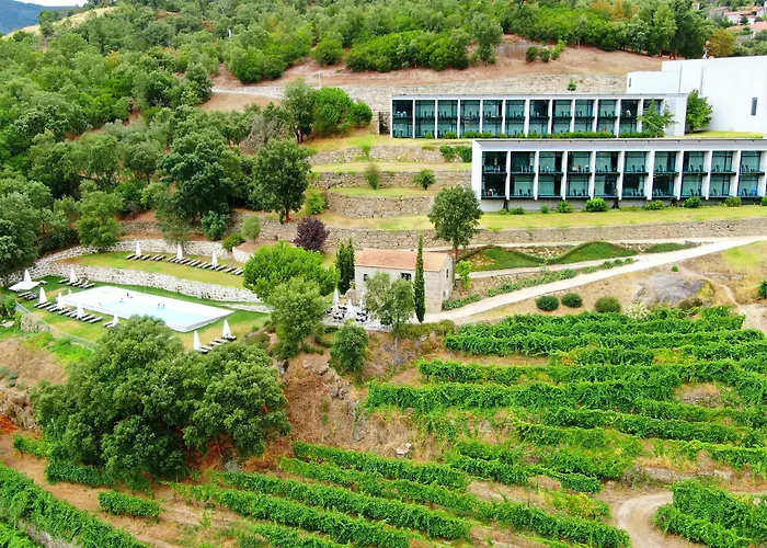 Hotel Douro Palace & 4*