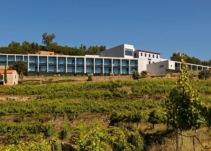 Douro Palace & Hotel