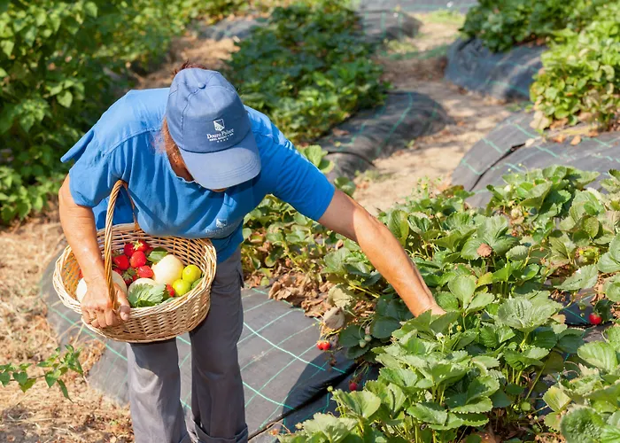 Hotell Douro Palace & Santa Cruz do Douro