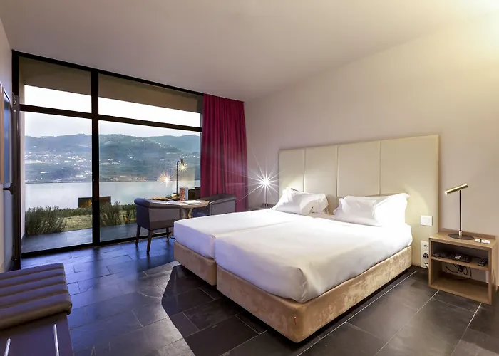 Douro Palace & Hotell 4*