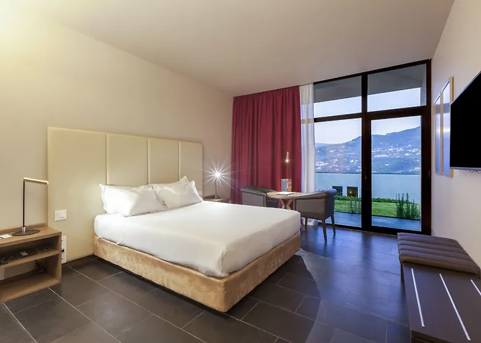 Douro Palace & Hotel