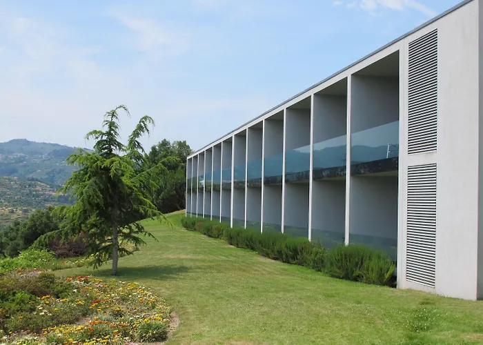 Douro Palace & Hotell 4*