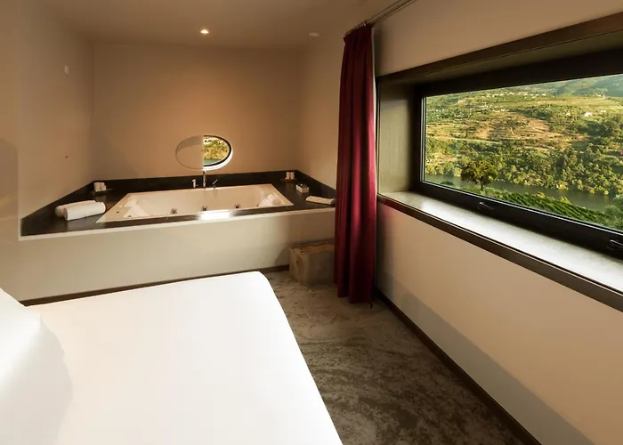Douro Palace & Hotel