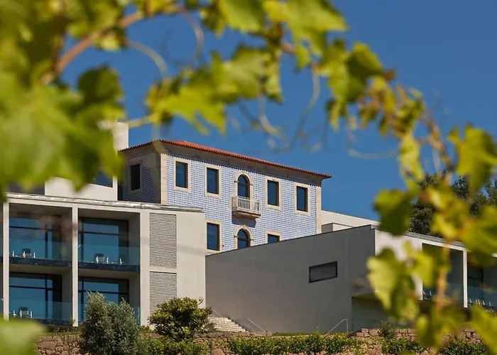 Hotel Douro Palace & Santa Cruz do Douro