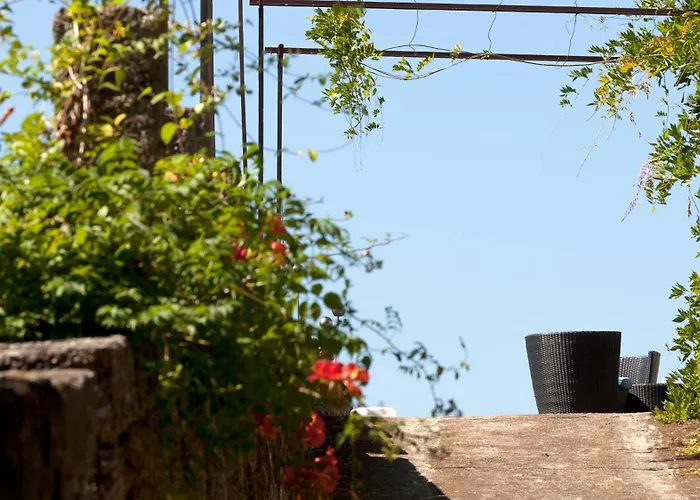 Douro Palace & Hotel