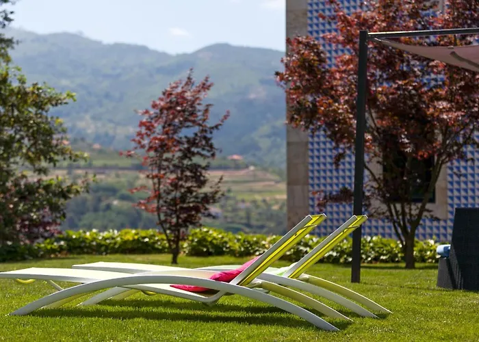 Hotel Douro Palace & 4*