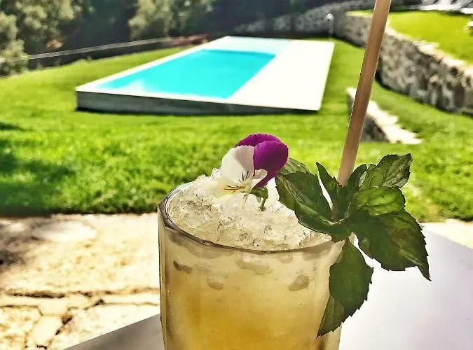 Douro Palace & 4* Santa Cruz do Douro