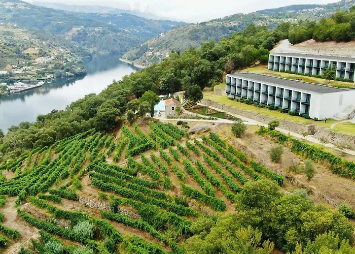 Douro Palace & 4*