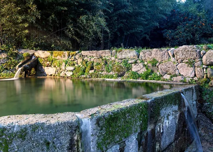 Hotell Douro Palace & 4*