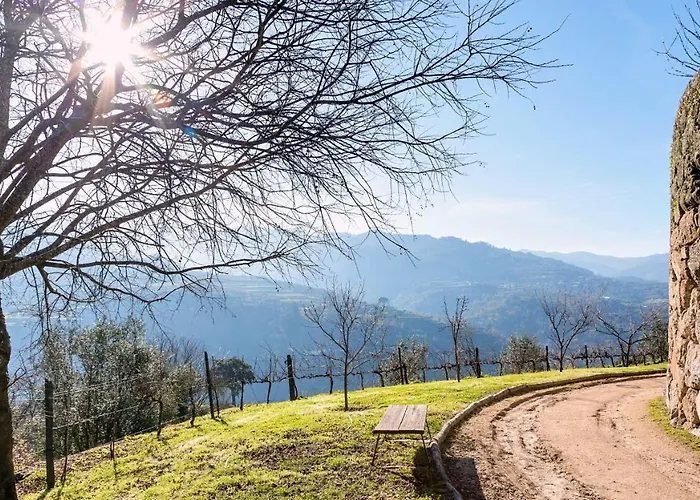 Douro Palace & Hotel 4*