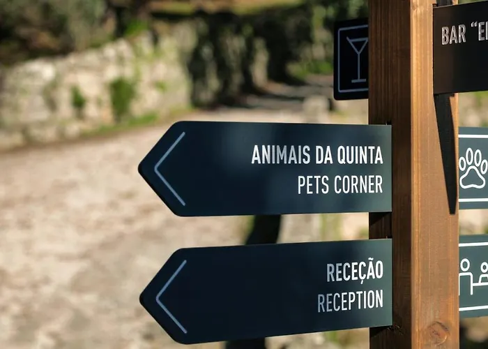 Hotel Douro Palace &