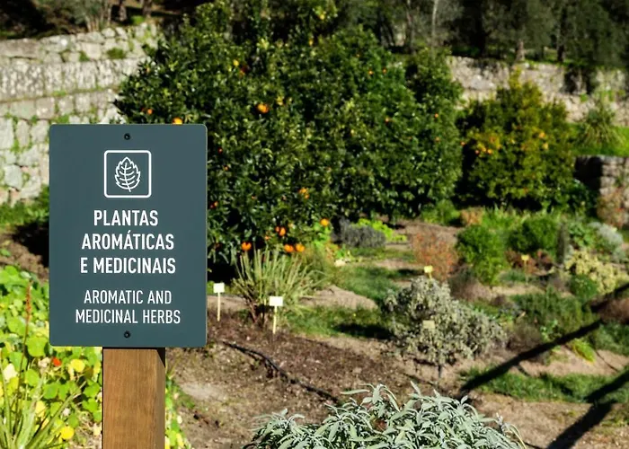 Douro Palace & Santa Cruz do Douro